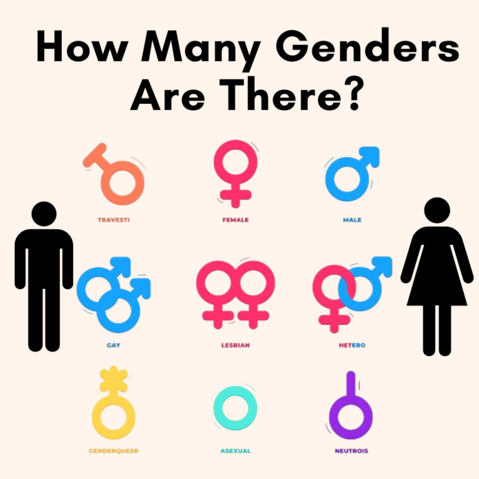 How Many Genders Are There: Scientifically Analyzed