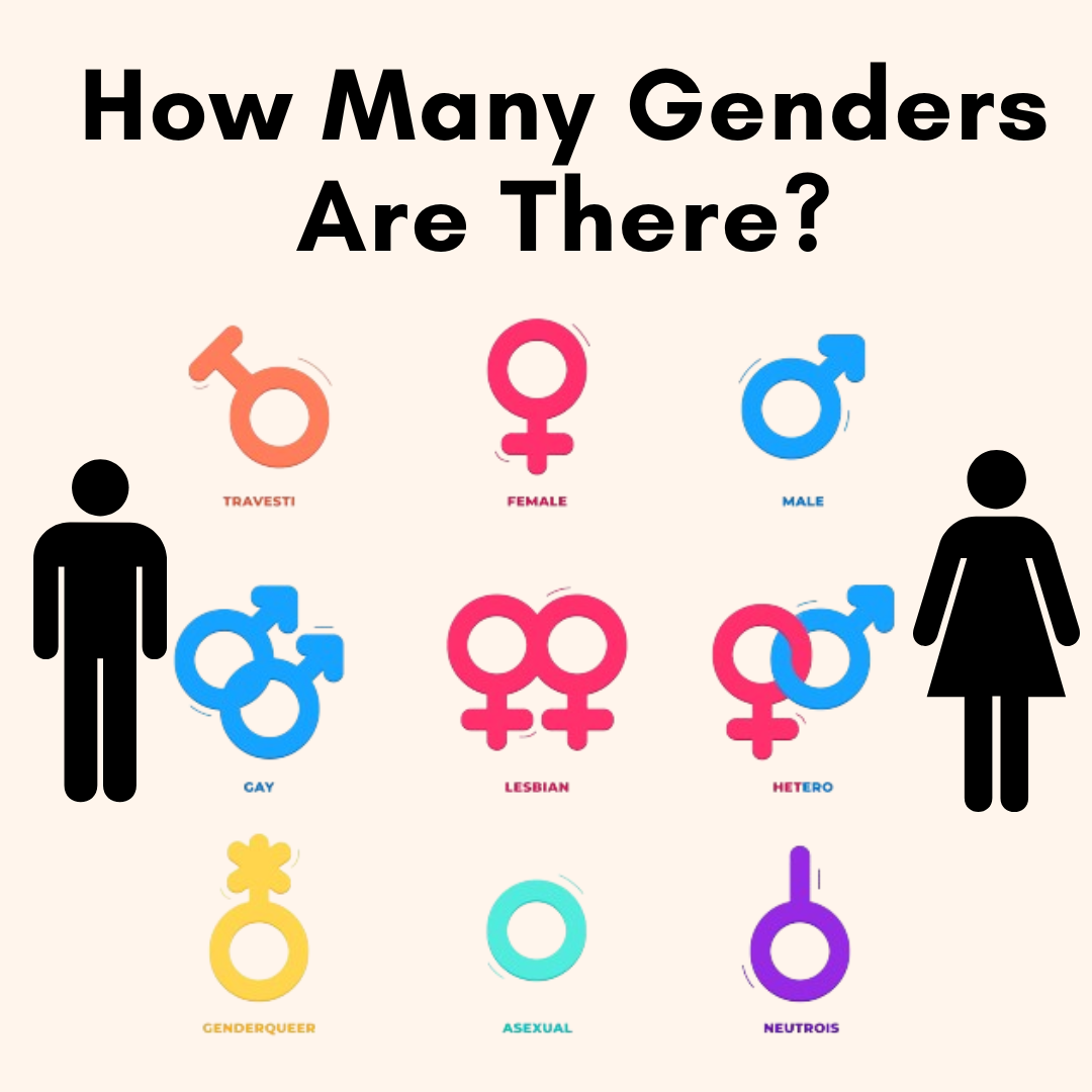 How Many Genders Are There Scientifically Analyzed howtoguidewiki