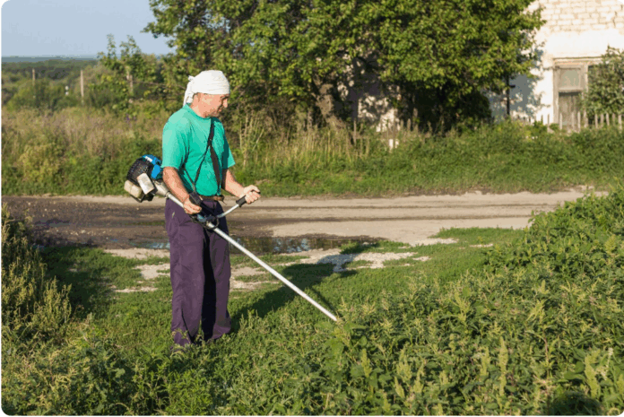 how can you get rid of crabgrass